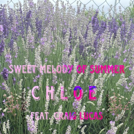 Sweet Melody of Summer ft. Craig Lucas | Boomplay Music