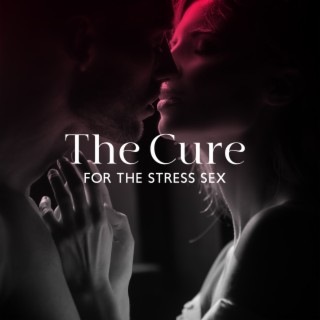 The Cure For The Stress Sex