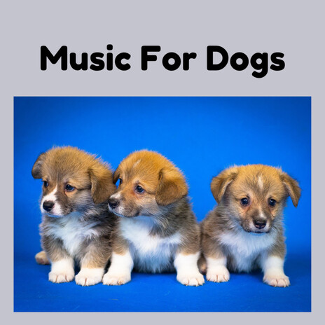 Pain Relief For Dogs ft. Music For Dogs Peace, Relaxing Puppy Music & Calm Pets Music Academy | Boomplay Music