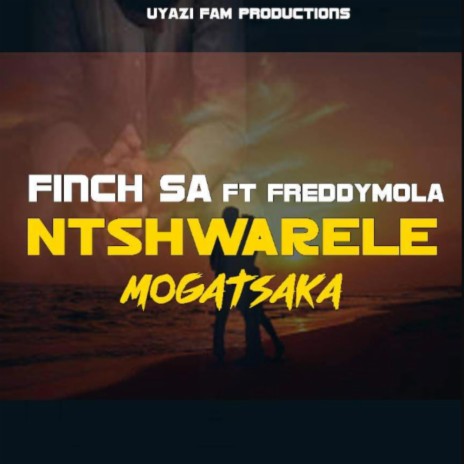 Mogatsaka Nswarele ft. FreddyMola
