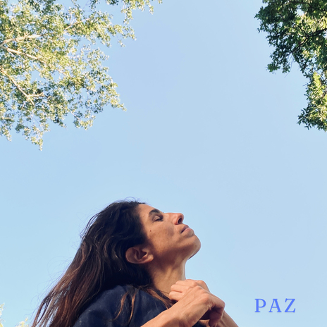 Paz | Boomplay Music