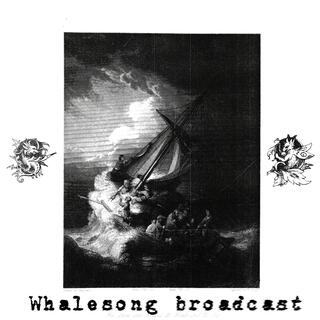 whalesong broadcast