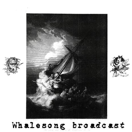 whalesong broadcast | Boomplay Music