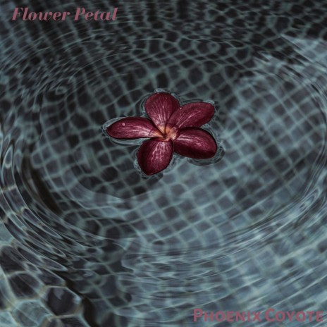 Flower Petal | Boomplay Music