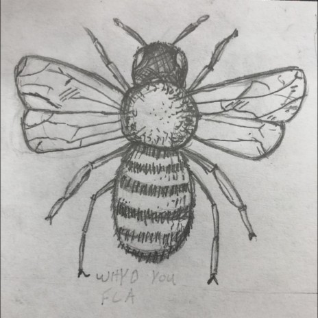 Baltimore (Honeybee) | Boomplay Music
