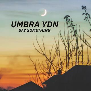 Say Something