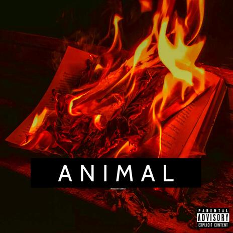 Animal | Boomplay Music