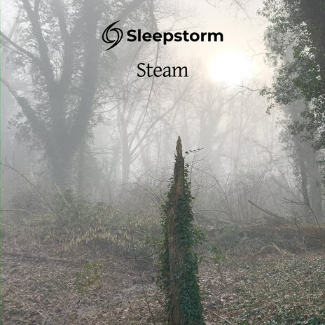 Steam