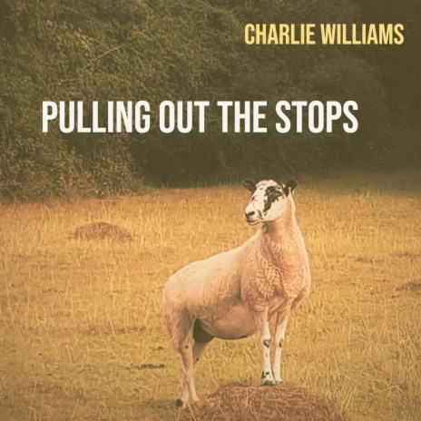 Pulling Out the Stops | Boomplay Music