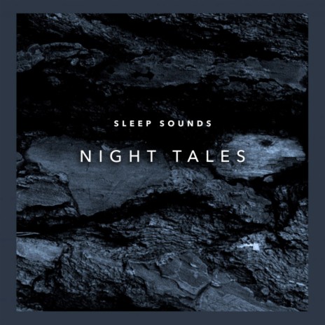 Raining Sounds For Sleep | Boomplay Music