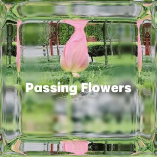 Passing Flowers