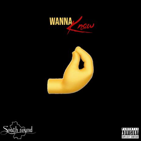 WANNA KNOW ft. 9iusi | Boomplay Music