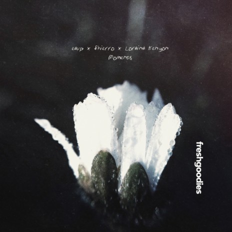 Moments ft. Shierro & Loraina Kenyon | Boomplay Music