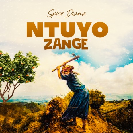 Ntuyo Zange | Boomplay Music