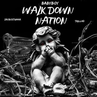 WalkDownNation