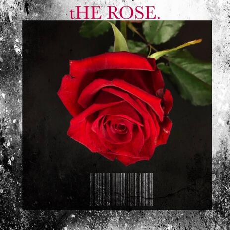 The Rose | Boomplay Music