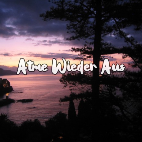Atme Wieder Aus | Boomplay Music