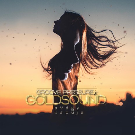 A vágy kapuja (Hpg Radio Version) ft. Goldsound | Boomplay Music