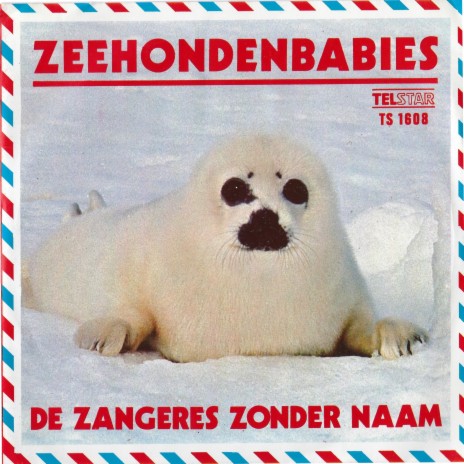 Zeehondenbabies