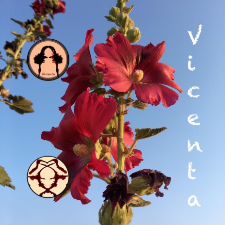 Vicenta