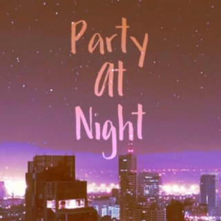 Party at night