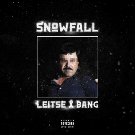 SNOWFALL ft. Leitse | Boomplay Music