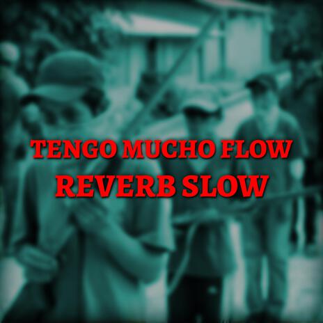 Tengo Mucho Flow (Reverb Slow) | Boomplay Music