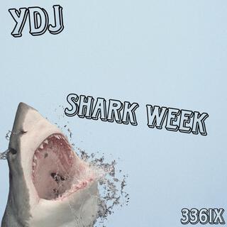 Shark Week lyrics | Boomplay Music