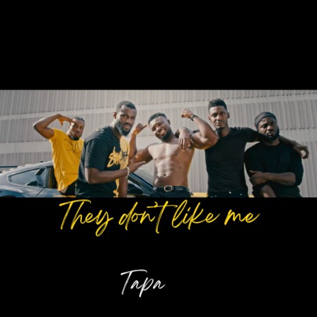 They dont like me | Boomplay Music