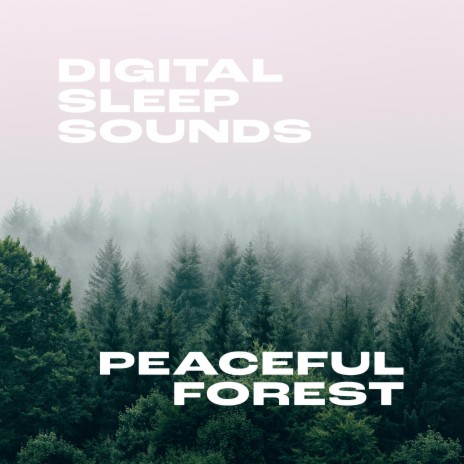 Quiet Forest