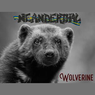 Wolverine lyrics | Boomplay Music