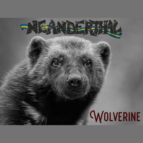 Wolverine | Boomplay Music