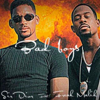 Bad Boyz (feat. Freak Malik)