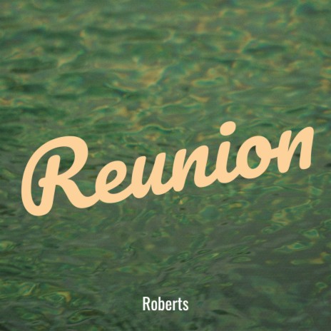 Reunion | Boomplay Music