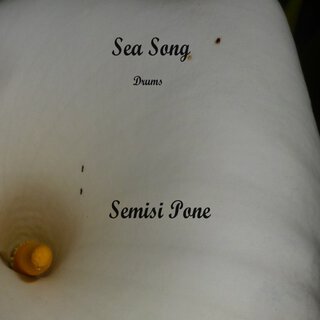 Sea Song Drums