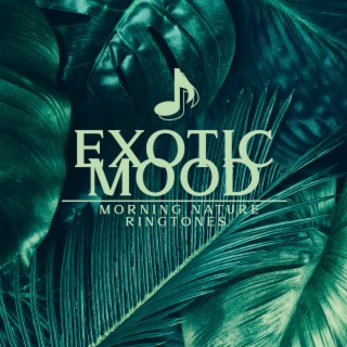 Exotic Mood: Morning Nature Ringtones