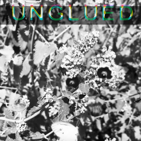 Unglued | Boomplay Music