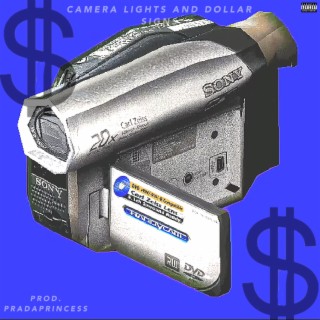 CAMERA LIGHTS AND DOLLAR SIGNS