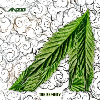 The Remedy lyrics | Boomplay Music