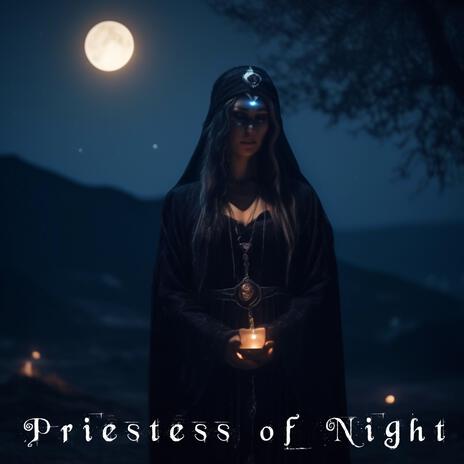 Priestess of Night ft. Dark Holler Devil & Thief Dream Billow | Boomplay Music