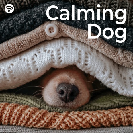 Calming Whispers of the Dog ft. Relaxmydog & The Rabbit Relaxer | Boomplay Music