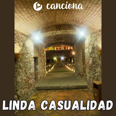 Linda casualidad