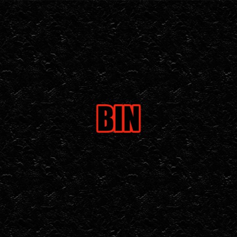 Bin | Boomplay Music