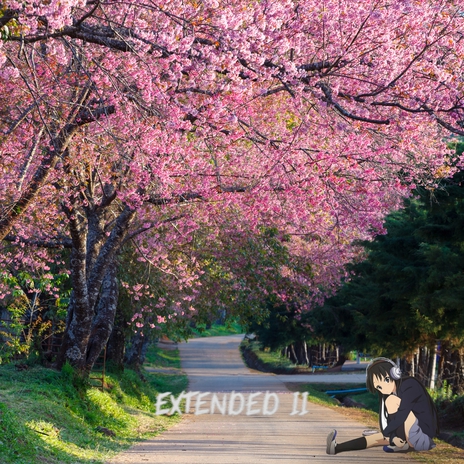 EXTENDED II | Boomplay Music