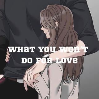 What You Won’t Do For Love