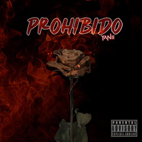 YANII, DGFlow (Prohibido) | Boomplay Music