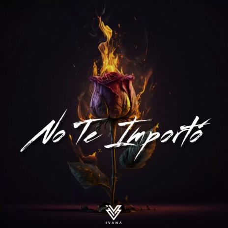 No Te Importó | Boomplay Music