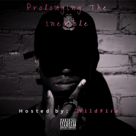 Prolongjng The Inediable | Boomplay Music