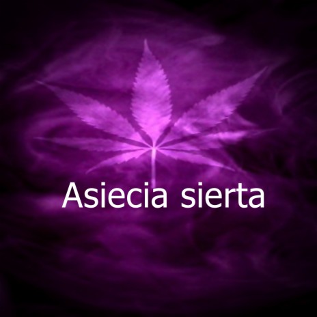 Asiecia sierta