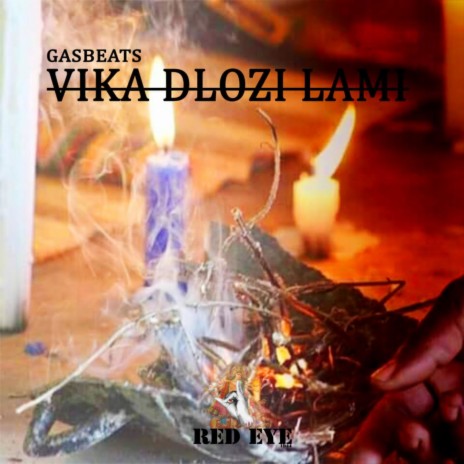 Vika Dlozi Lami | Boomplay Music